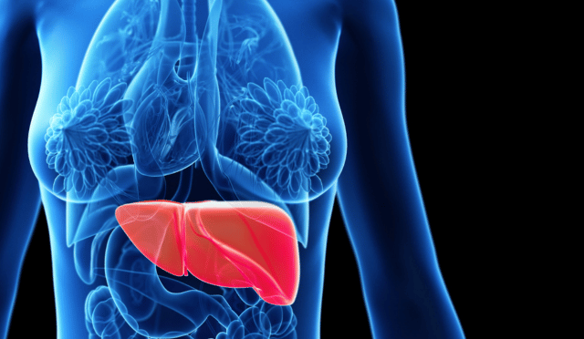 It’s not just alcohol, understanding liver health and how to support it